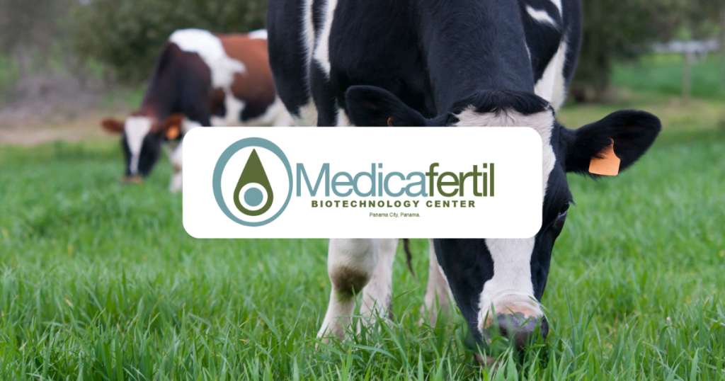 Biotecnología Aplicada a la Ganadería en Panamá: Innovación para un Sector Sostenible